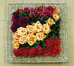 DESIGN 107