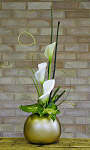 DESIGN 111