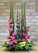 DESIGN 117