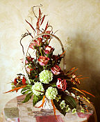 DESIGN 127