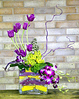 DESIGN 150