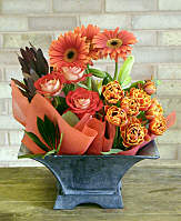DESIGN 151