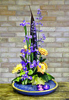 DESIGN 166