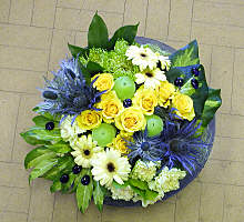DESIGN 169