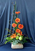 DESIGN 173