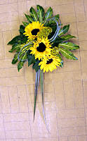 DESIGN 177