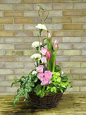 DESIGN 189