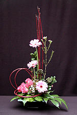 DESIGN 194
