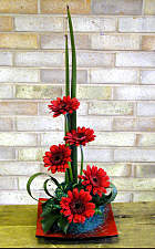 DESIGN 200