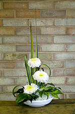 DESIGN 201