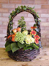 DESIGN 212