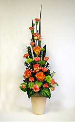 DESIGN 268