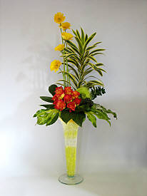 DESIGN 274