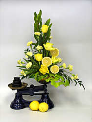 DESIGN 284