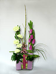 DESIGN 286