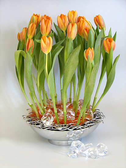 Design 292