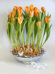 DESIGN 292