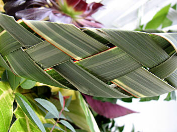Design 293 closeup