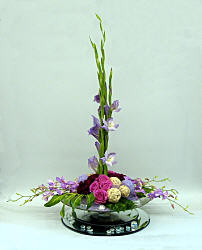 DESIGN 294