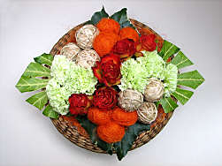 DESIGN 296