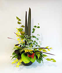 DESIGN 298