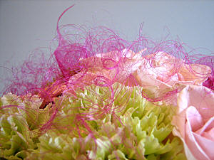 Design 300 closeup showing veiling