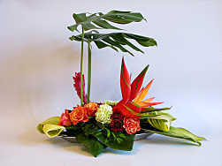 DESIGN 305
