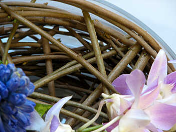 Design 315 closeup