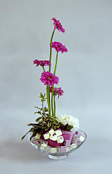 DESIGN 318