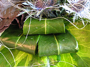 closeup showing rolled Laurel leaves