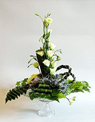 DESIGN 322