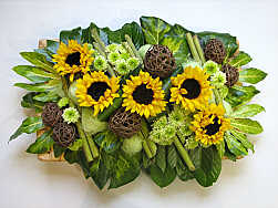 DESIGN 328