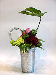DESIGN 331
