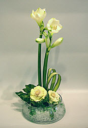 DESIGN 338