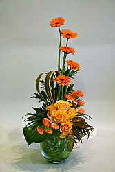 DESIGN 340