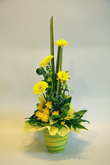 Design 341