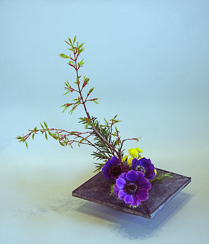 Design 12