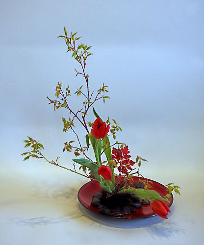 Design 13