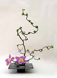 DESIGN 17