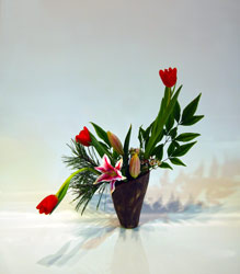 DESIGN 22